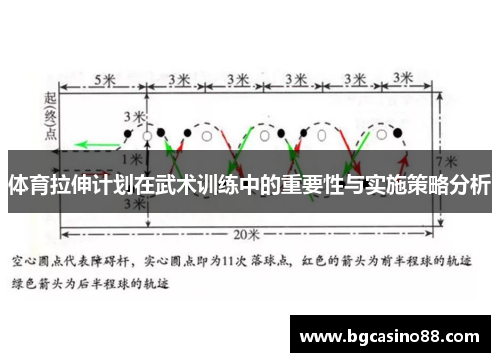 体育拉伸计划在武术训练中的重要性与实施策略分析